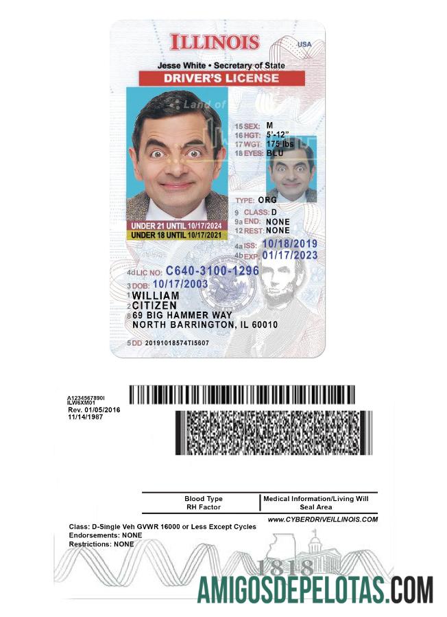 Carta de condução dos EUA em Illinois com menos de 21 anos modelo